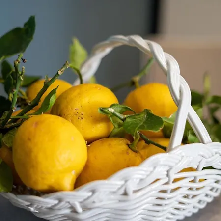 Alma Bed & Breakfast Sorrento